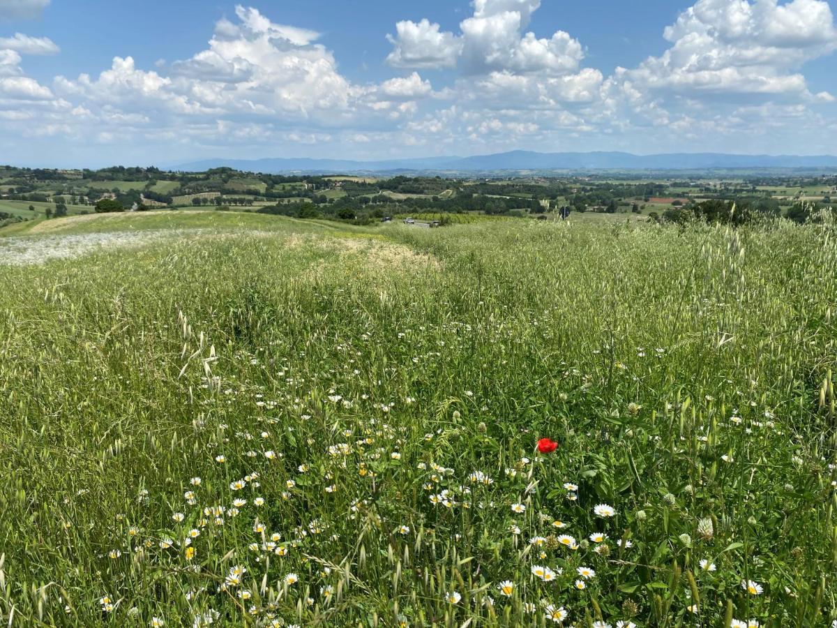 Agriturismo La Collina Σιένα Εξωτερικό φωτογραφία