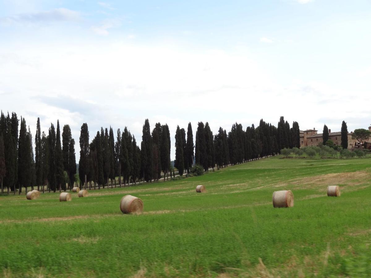 Agriturismo La Collina Σιένα Εξωτερικό φωτογραφία