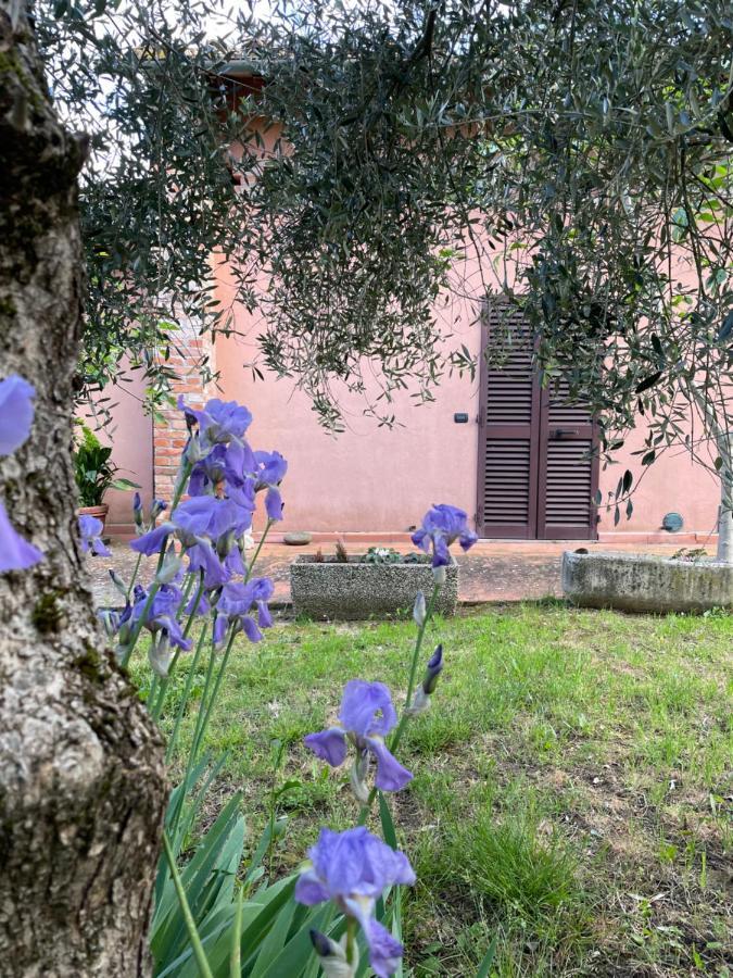 Agriturismo La Collina Σιένα Εξωτερικό φωτογραφία