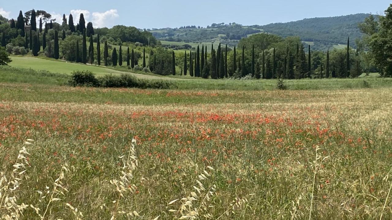 Agriturismo La Collina Σιένα Εξωτερικό φωτογραφία