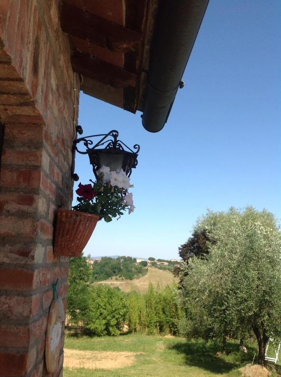 Agriturismo La Collina Σιένα Εξωτερικό φωτογραφία
